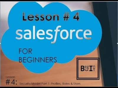 Salesforce For Beginners --Security Model Part 1: Profiles, Roles & Users